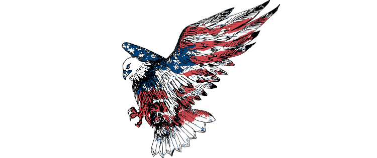 links USA and patriotic eagle